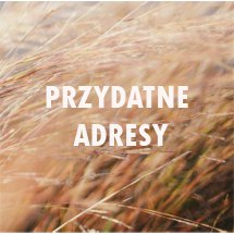 Przydatne adresy